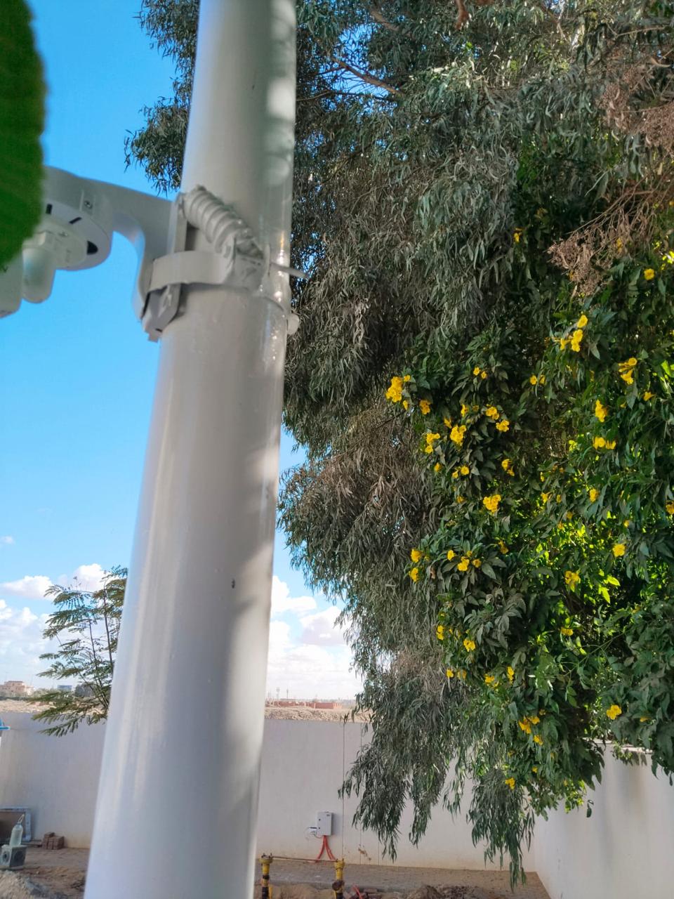 IMG-20250329-WA0018